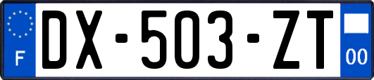 DX-503-ZT