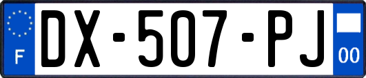 DX-507-PJ