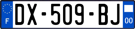 DX-509-BJ