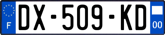 DX-509-KD