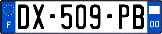 DX-509-PB