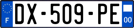 DX-509-PE