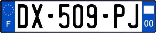 DX-509-PJ