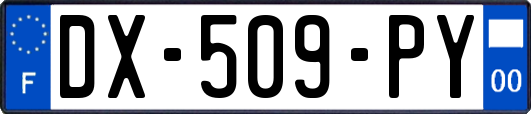 DX-509-PY