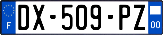 DX-509-PZ