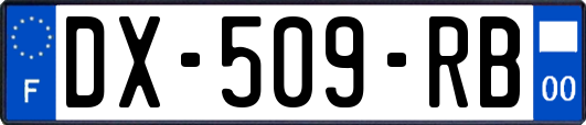 DX-509-RB