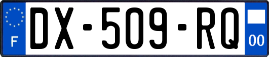DX-509-RQ