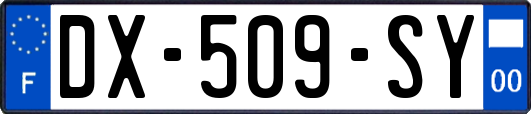 DX-509-SY