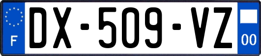 DX-509-VZ