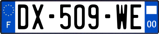 DX-509-WE