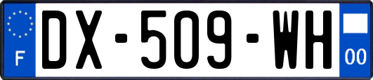 DX-509-WH