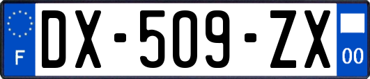 DX-509-ZX