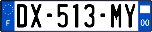 DX-513-MY