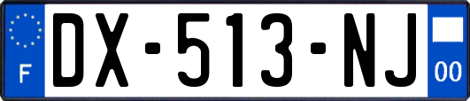 DX-513-NJ