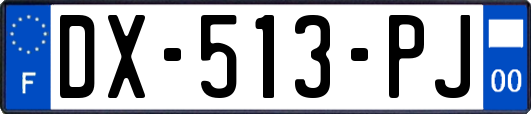 DX-513-PJ