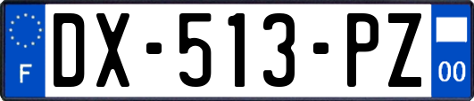 DX-513-PZ