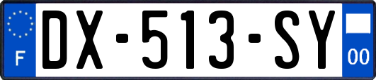 DX-513-SY