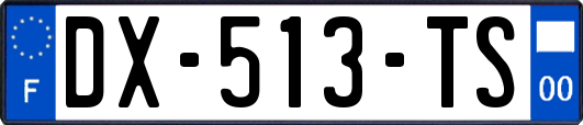 DX-513-TS