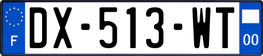DX-513-WT