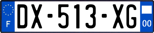 DX-513-XG
