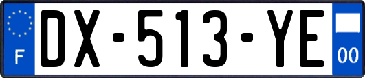 DX-513-YE