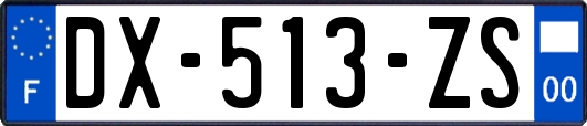 DX-513-ZS