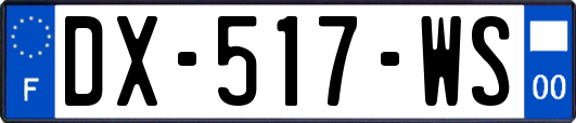 DX-517-WS