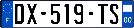 DX-519-TS