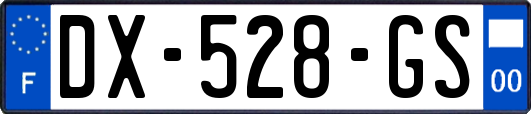 DX-528-GS