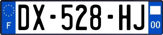 DX-528-HJ