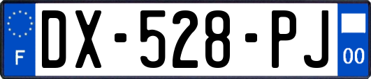 DX-528-PJ