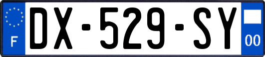 DX-529-SY