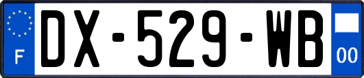 DX-529-WB