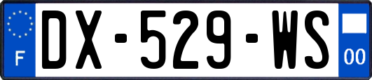DX-529-WS