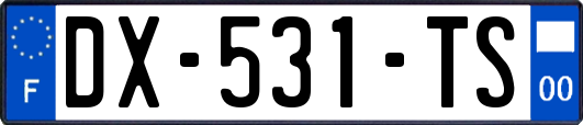 DX-531-TS