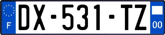 DX-531-TZ