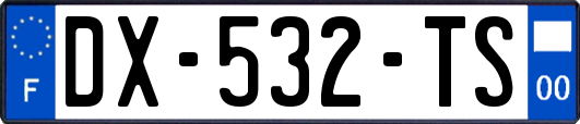 DX-532-TS