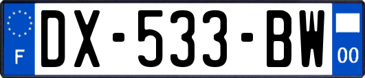 DX-533-BW