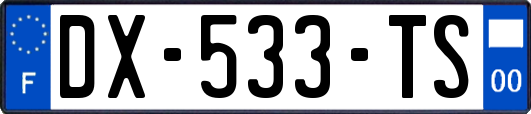 DX-533-TS