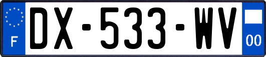 DX-533-WV