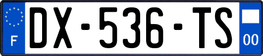 DX-536-TS
