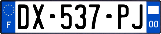 DX-537-PJ
