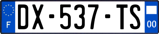 DX-537-TS
