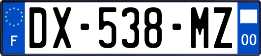 DX-538-MZ