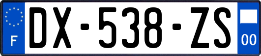 DX-538-ZS