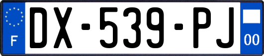 DX-539-PJ