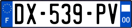 DX-539-PV