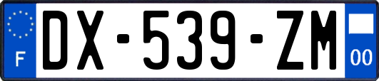 DX-539-ZM