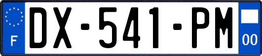DX-541-PM