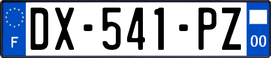 DX-541-PZ